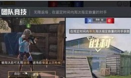 赤犬最新爆料视频大全集,揭秘幕后真相与精彩瞬间