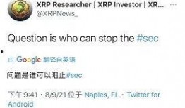 瑞波币最新爆料消息,揭秘其未来发展趋势与潜在风险