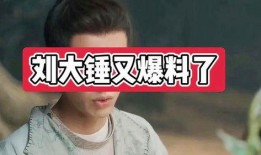 刘大锤爆料猛料最新视频,独家猛料震惊娱乐圈！