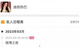 微博爆料艺人名单最新,揭秘娱乐圈最新艺人名单，明星动向大揭秘！”