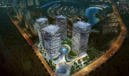 重庆棕榈泉爆料最新消息,揭秘神秘项目背后的惊人真相